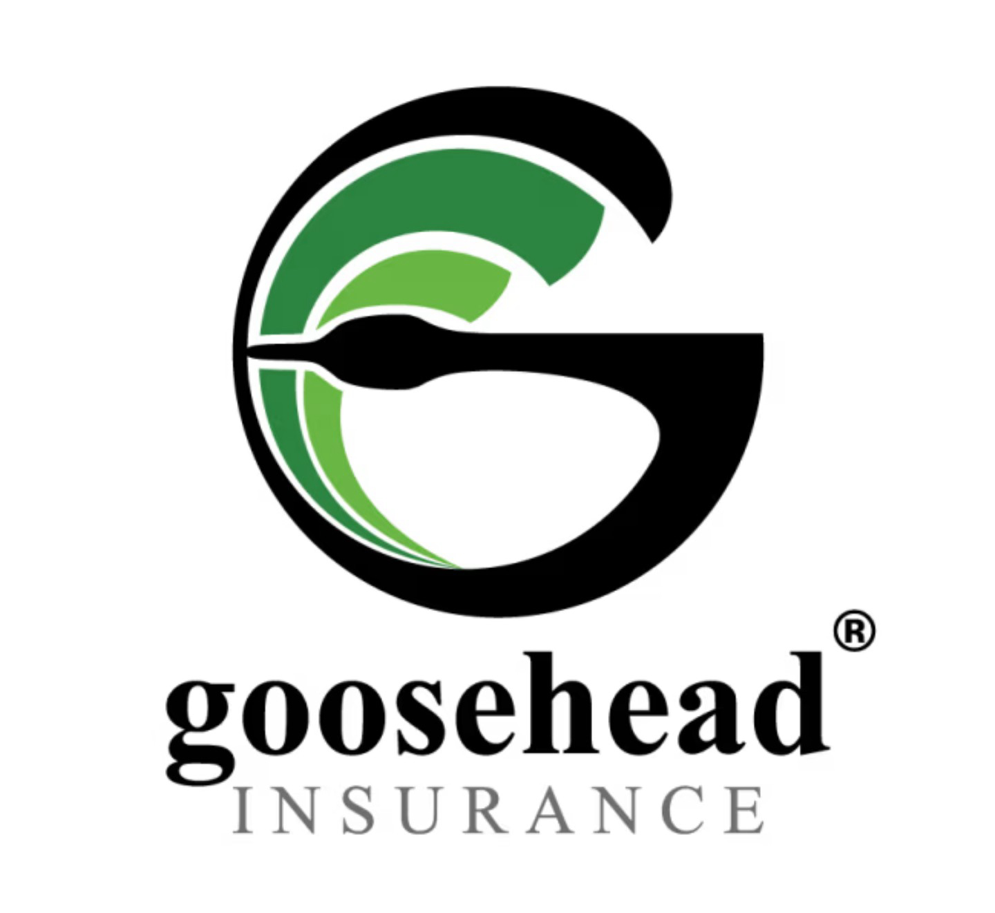 Goosehead Insurance 